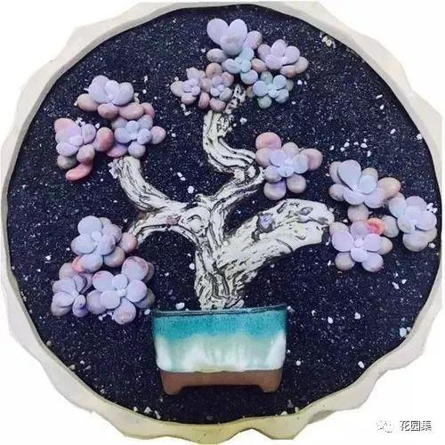 地栽多肉花园图片欣赏_地栽多肉花园_多肉地栽有什么要求