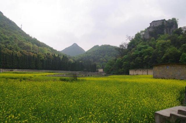 雁荡山风光片_雁荡山风景区住宿攻略_雁荡山风光图片