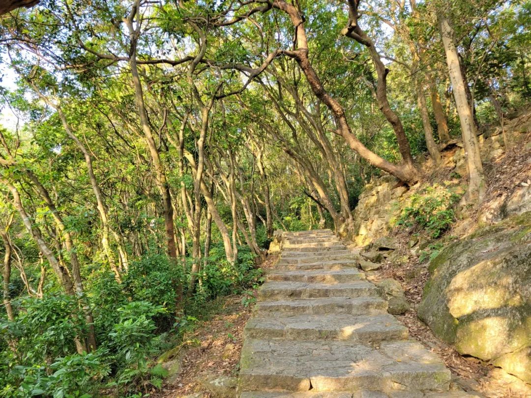 泉州清源山景点讲解_泉州旅游清源山_泉州清源山上山攻略