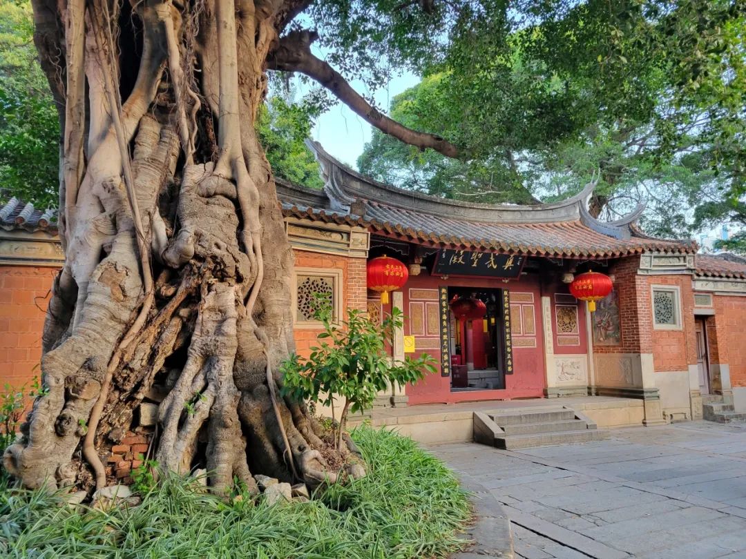 泉州清源山景点讲解_泉州旅游清源山_泉州清源山上山攻略