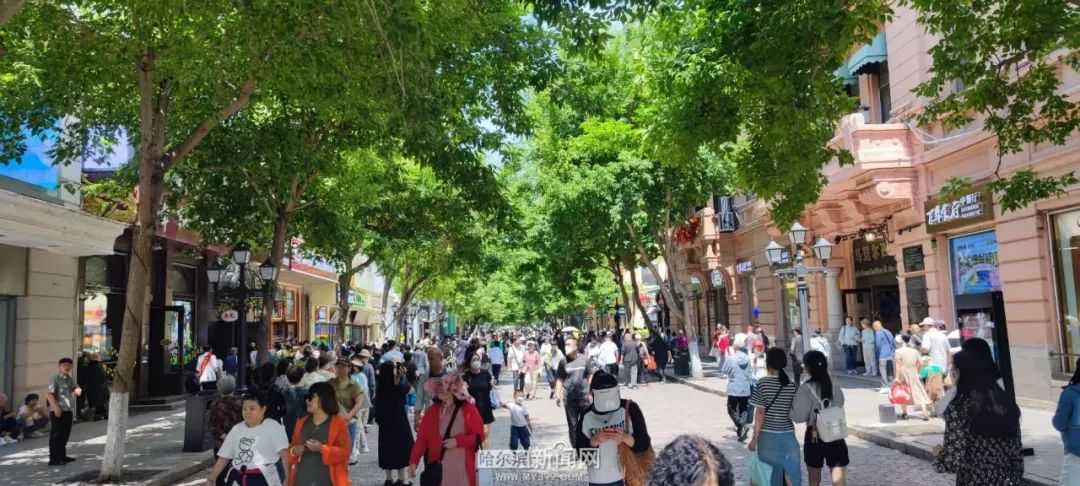 东北三省亲子自驾线路_夏季东北旅游攻略_哈尔滨夏季旅游攻略