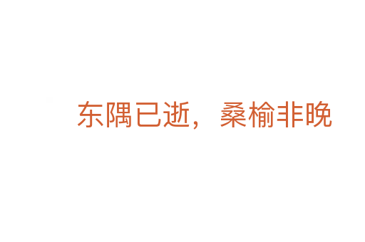 东隅已逝，桑榆非晚