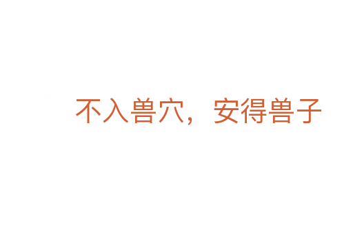 不入兽穴，安得兽子