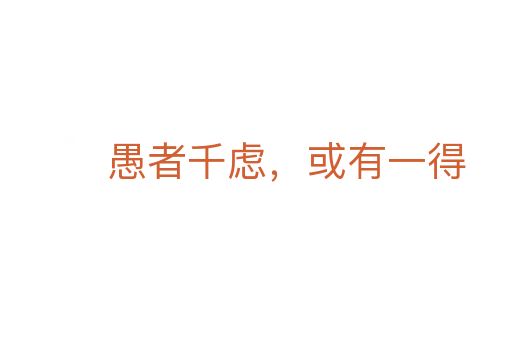愚者千虑，或有一得
